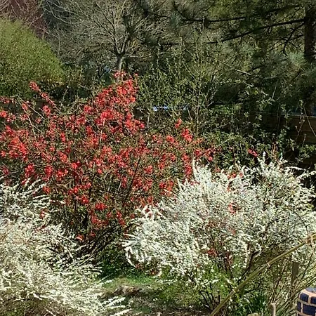 Au Bois De Mon Coeur 3* Foameix-Ornel