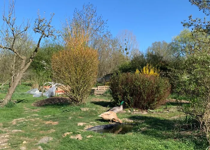 Au Bois De Mon Coeur Bed & Breakfast 3*