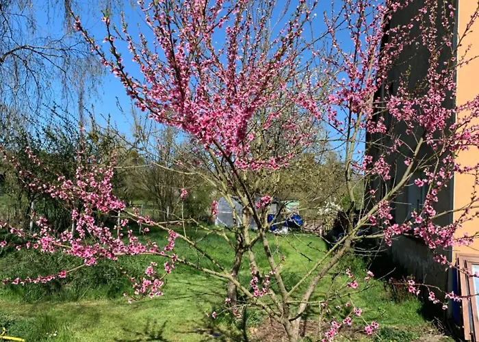 Au Bois De Mon Coeur 3*