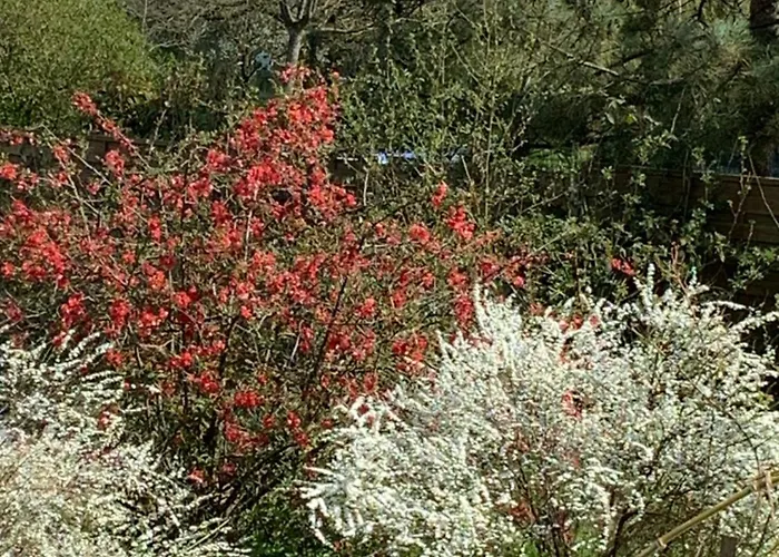 Au Bois De Mon Coeur 3* Foameix-Ornel