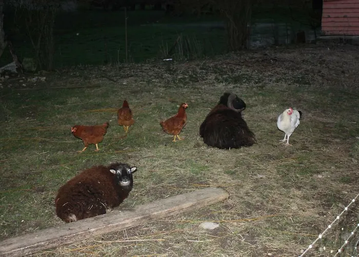 Au Bois De Mon Coeur Bed & Breakfast